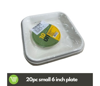 10 ON DISPOSABLE WHITE SMALL PLATES 6 INCHES